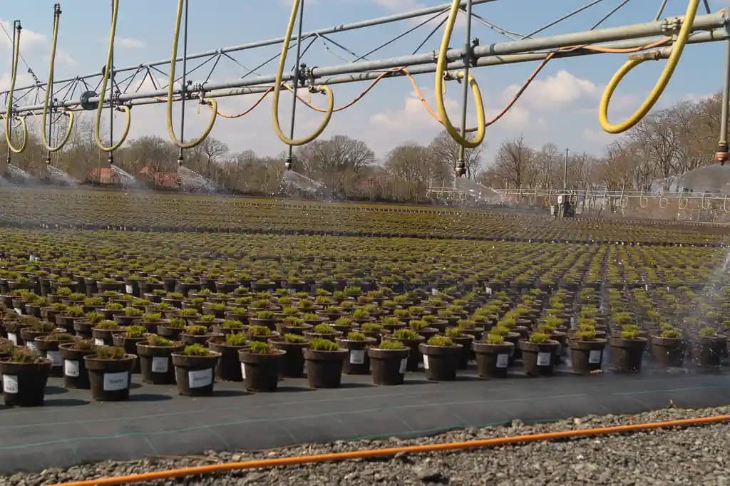Bewässerung der Natural Pots mit gängigen Maschinen