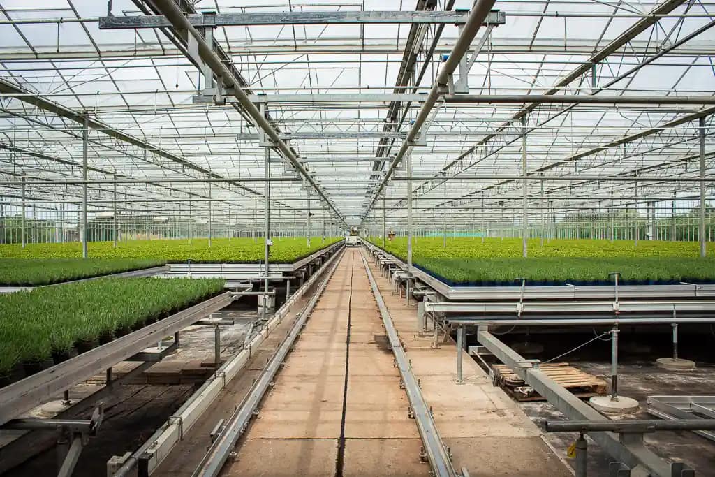 Automatisierung geht auch mit Natural Pots